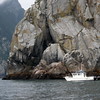 AKFossil > No Name Rock, Resurrection Bay, Alaska