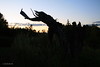 AKFossil > Alaska photo